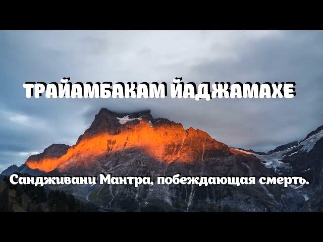 Сандживани Мантра, побеждающая смерть. ТРАЙАМБАКАМ ЙАДЖАМАХЕ