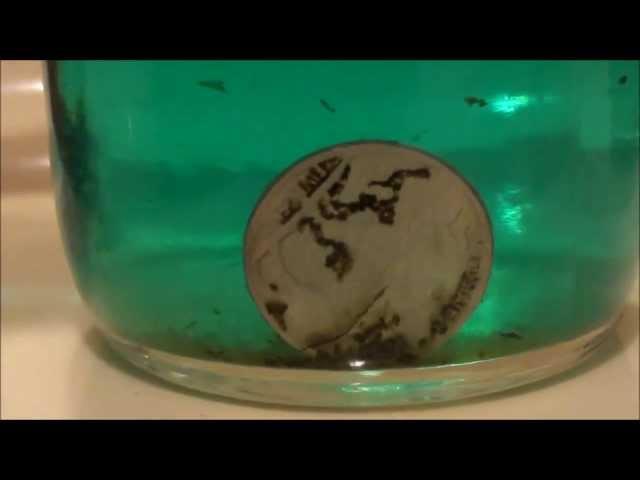 HOW TO CLEAN COINS - CLEANING a BUFFALO NICKEL to reveal lost date