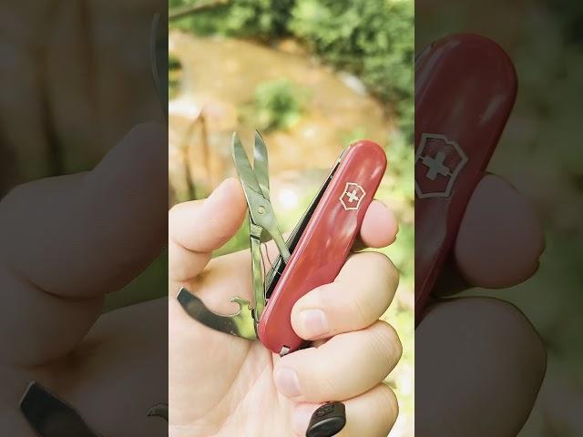 Victorinox Compact