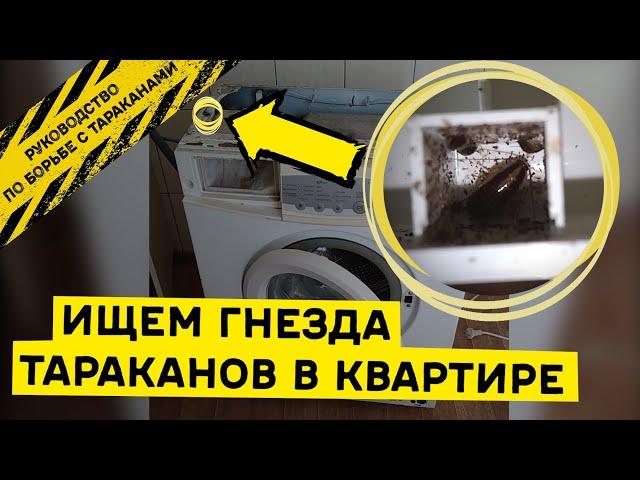 Где прячутся тараканы в квартире и как выглядят их гнезда