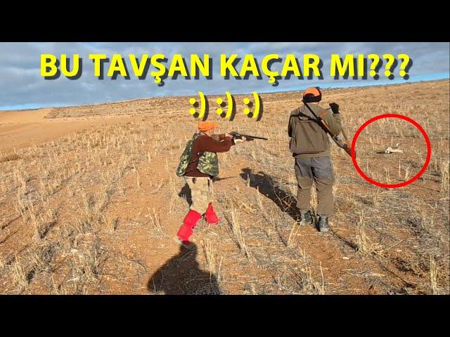 Tavşanları Yatarken Gördük. Harika Çekimler Güzel Vuruşlar. Tavşan Avı 2024. Hare Hunting 2024.