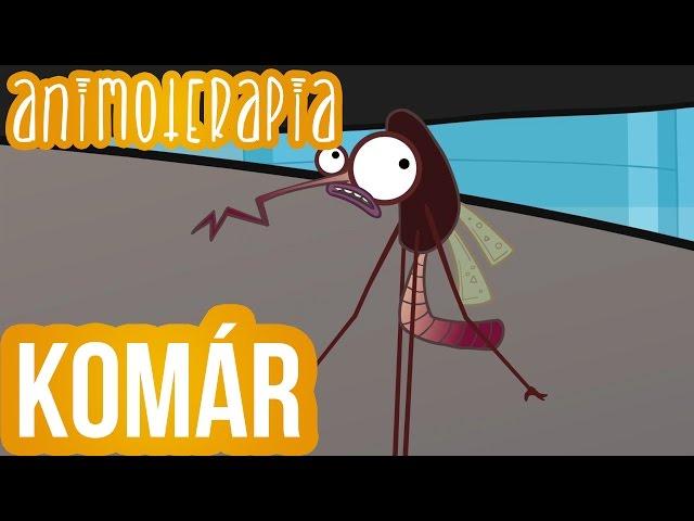 Animoterapia - 4 : Komár