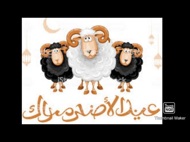 EID-UL-ADHA 2020 mubarak||eid-ul-adha 2020 whatsapp status