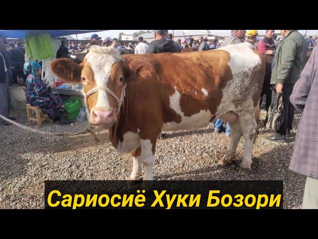 Сурхондарё Сариосиё Хукиз бозори нархлари. 14.04.2022й