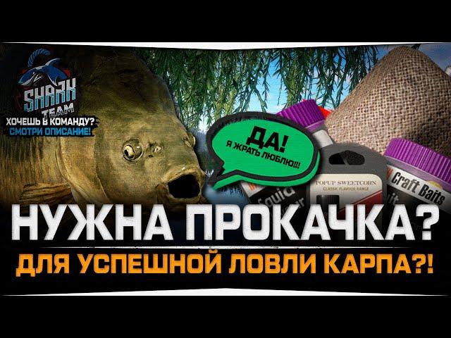 По чему не клюёт Карп? • Нужна ли прокачка навыков при ловле Карпов? • Русская Рыбалка 4