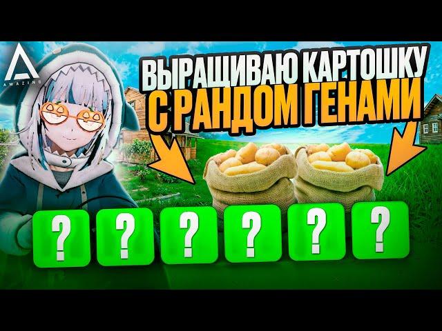 РАБОТАЮ НА ФЕРМЕ‍ С РАНДОМНЫМИ ГЕНАМИ КАРТОШКИ НА AMAZING ONLINE