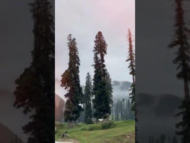 Lalazar - Naran(Heaven)