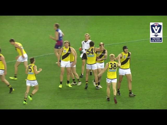 2017 Peter Jackson VFL 'Love the Game' Grand Final: Port Melbourne v Richmond