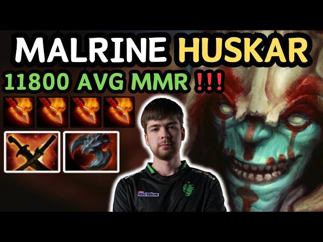  7.37e Malrine HUSKAR Midlane Gameplay Cooking  Grandmaster Tier - Dota 2