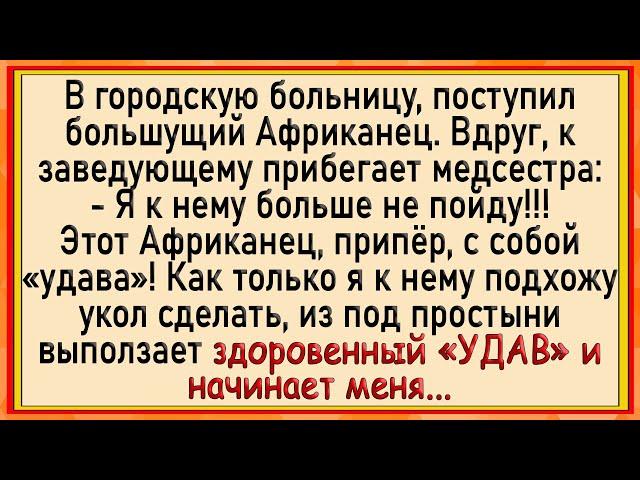 Как УДАВ африканца медсестре в трусы залез! Сборник свежих анекдотов! Юмор!