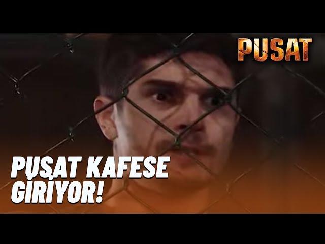 Pusat, Poyraz İçin Kafes Dövüşüne Giriyor! | Bölüm-6 | 2019 YENİ