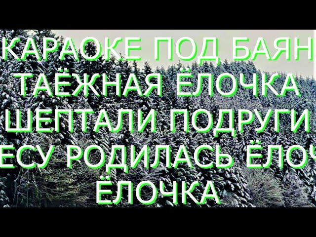 КАРАОКЕ- ТАЁЖНАЯ ЕЛЬ ( Шептали подружки , что ёлочка чудо ́) (В лесу родилась ёлочка)