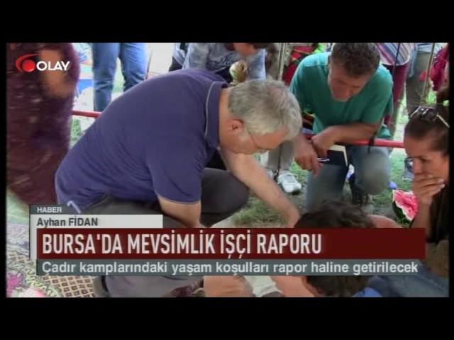 Bursa'da mevsimlik işçi raporu (Haber 05 08 2017)