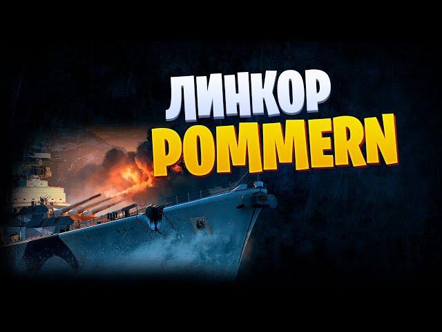 5 ПРИЧИН НЕ ПОКУПАТЬ POMMERN