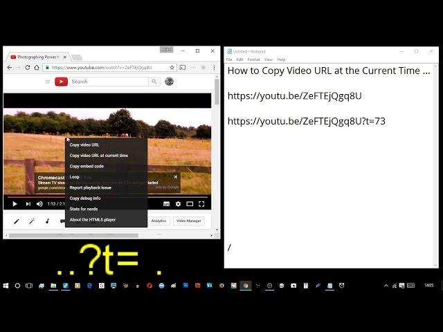 How to Copy YouTube Video URL at the Current Time