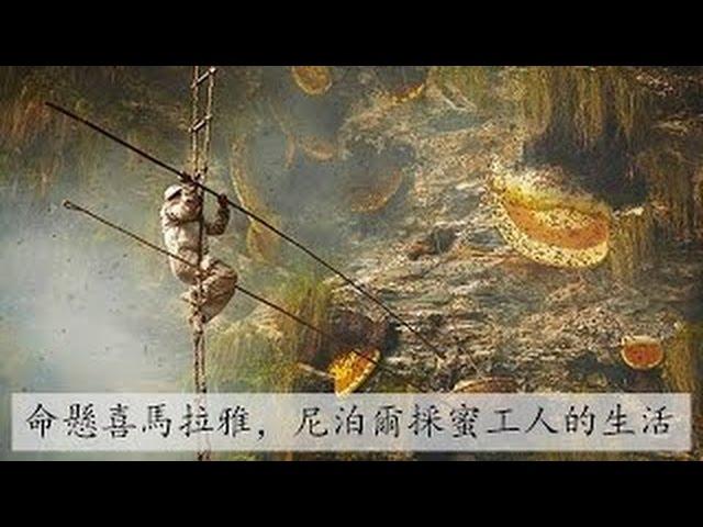 命懸喜馬拉雅，尼泊爾採蜜工人的生活 Travel Channel 2016