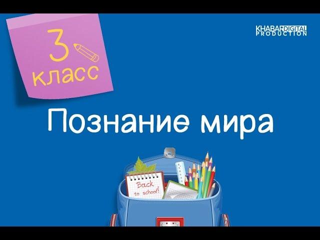 Познание мира. 3 класс. Духовные ценности моей семьи /13.01.2021/