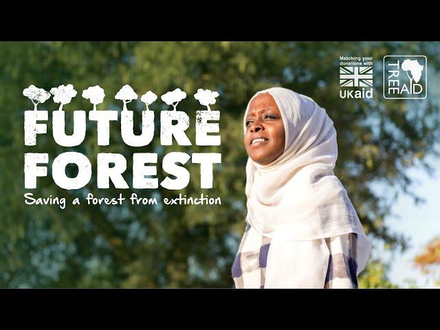 Saving a forest from extinction: Tree Aid's Future Forest appeal