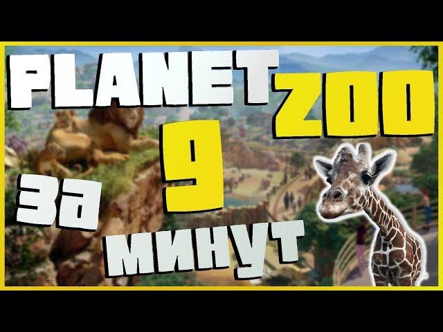 Обзор Planet Zoo – новый симулятор зоопарка в 2019 году – коротко стоит ли покупать и играть.