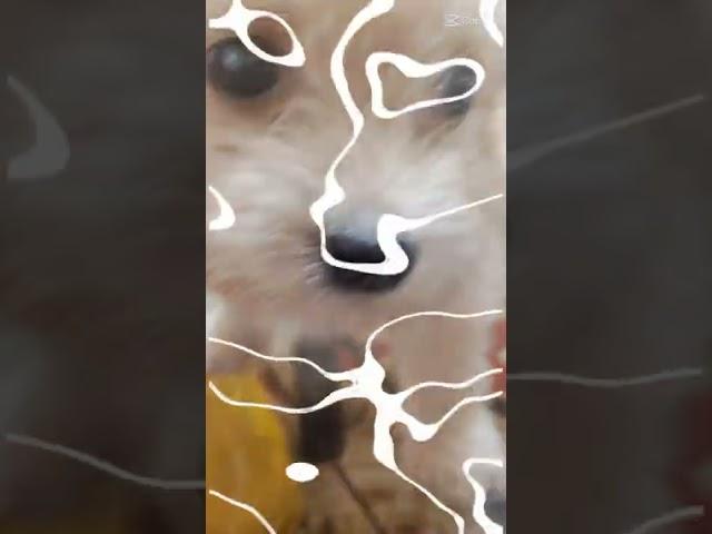 so cute her name is chochay