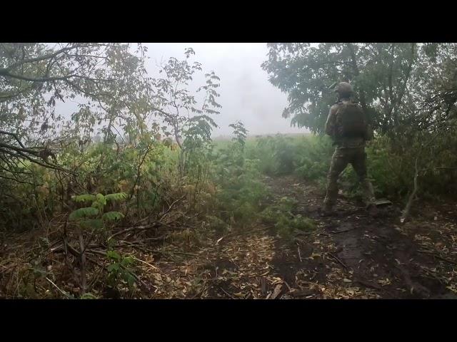 Работино‼️ #military #top #сво #army #armia #soldier #specialforces #shortvideo#shorts