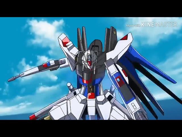 GUNDAM SEED DESTINY " Reason "