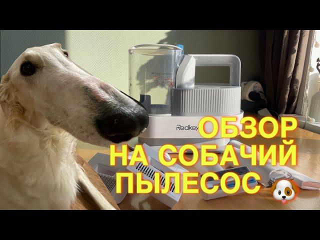 Обзор на домашнюю станцию для груминга / пылесос-машинка для груминга / собачий пылесос/ набор