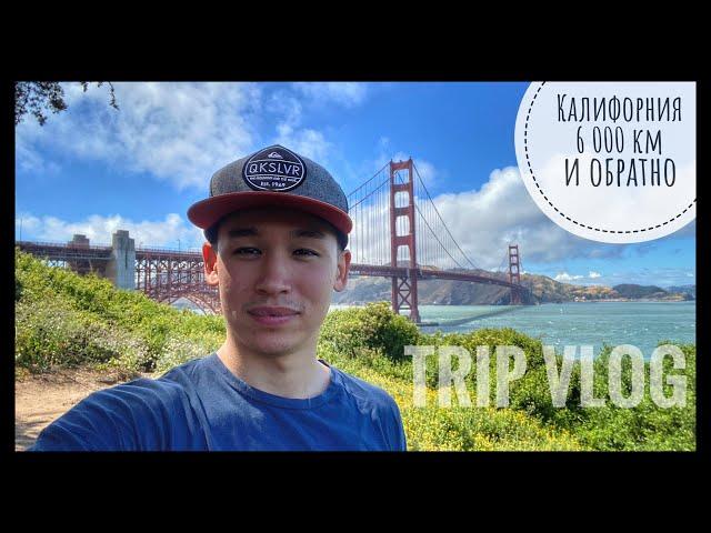 VLOG #91 / Калифорния детка!!! / Рейс в 19 дней / Лучший рестарт / Дальнобой Канада-США  / Июнь 2020