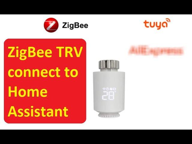 Zigbee Radiator TRV on home assistant