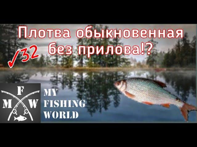 32) My Fishing World Плотва обыкновенная без прилова!?