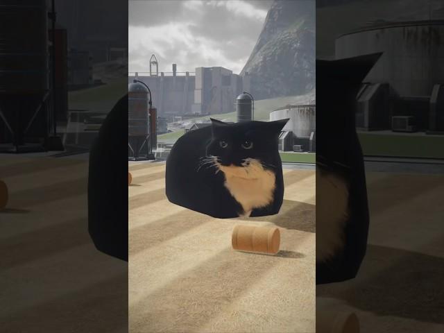 New robot?  #warrobots #warrobotsmemes