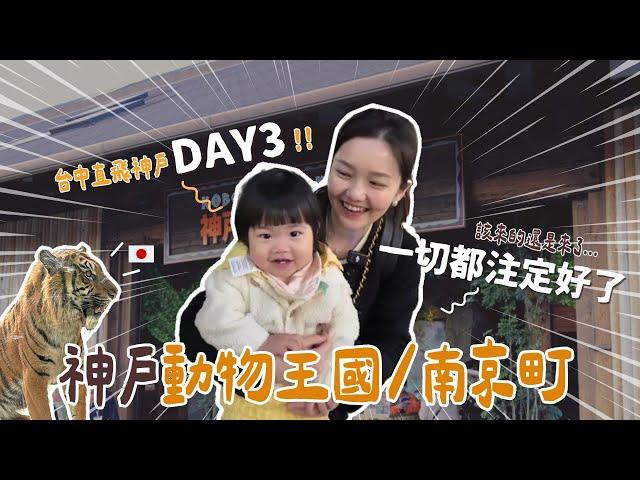 【日本神戶最終章】一家三口出國感觸滿滿神戶必去的動物園！南京町有必要去嗎？在地餃子超好吃