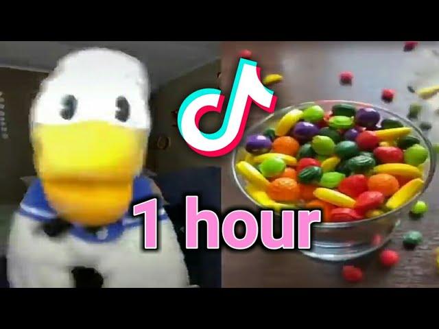 1 hour Donald Ducc tiktok compilation | Best Donald Ducc tiktok | Donald Duck tiktok