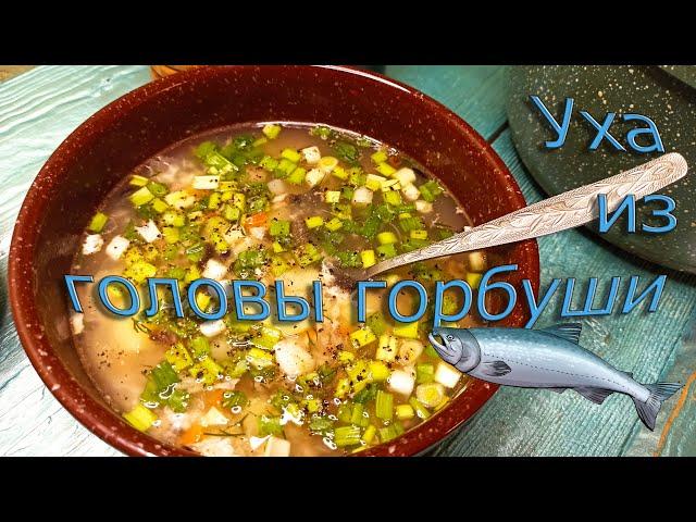 Уха из головы и хвоста горбуши или как сварить уху из головы горбуши