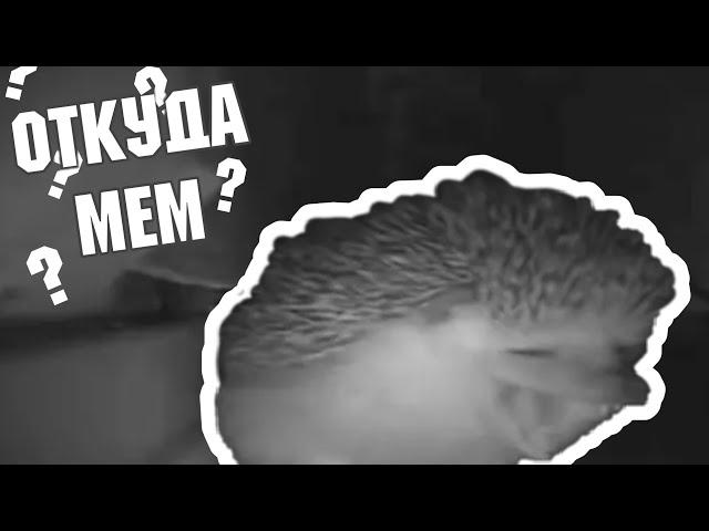 ЁЖИК ЧИХНУЛ - ОТКУДА МЕМ / ИСТОРИЯ ПОЯВЛЕНИЯ МЕМА