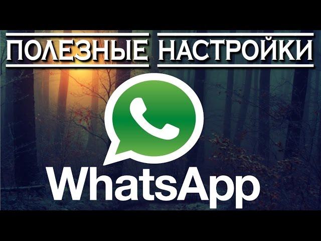 Полезные настройки WhatsApp о которых вы не знали 