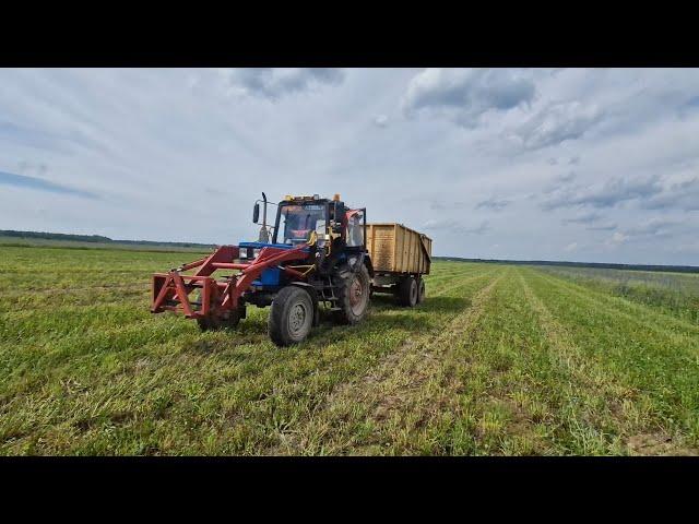 Первый день на кормозаготовке с бригадой, разобравшись с кукурузой / за Русь !