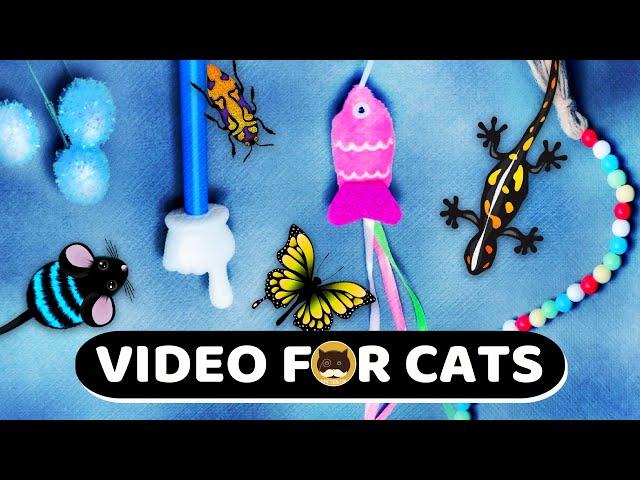 CAT GAMES - Mice, String, Fish, Bugs, Butterflies, Lizards, Hand Pointer.  Videos for Cats | CAT TV.