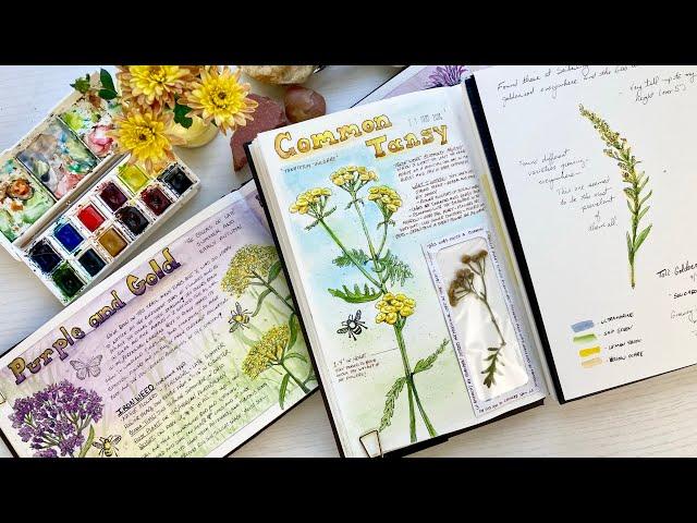 3 Ways to Journal in your Nature Diary