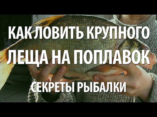 СЕКРЕТЫ РЫБАЛКИ на ЛЕЩА. ЛОВЛЯ на ПОПЛАВОК ЛЕЩА на ТРУДНЫХ ВОДОЕМАХ