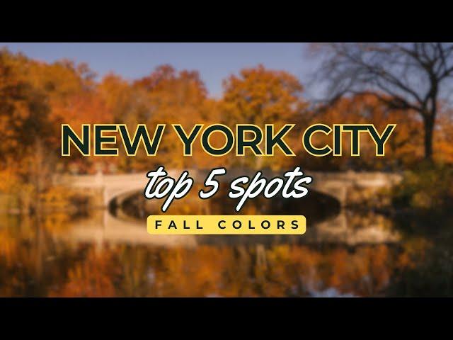 Top 5 Spots to See Fall Colors in New York City | Exploring Autumn's Beauty in NYC