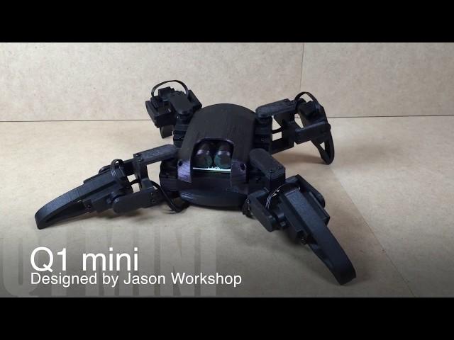 Q1 mini Quadruped Robot (Designed by Jason Workshop)