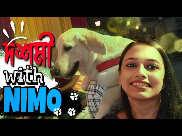 Durga Puja Pandal Hopping With My Golden Retriever Puppy | Nimo  | Ayantika Mallik