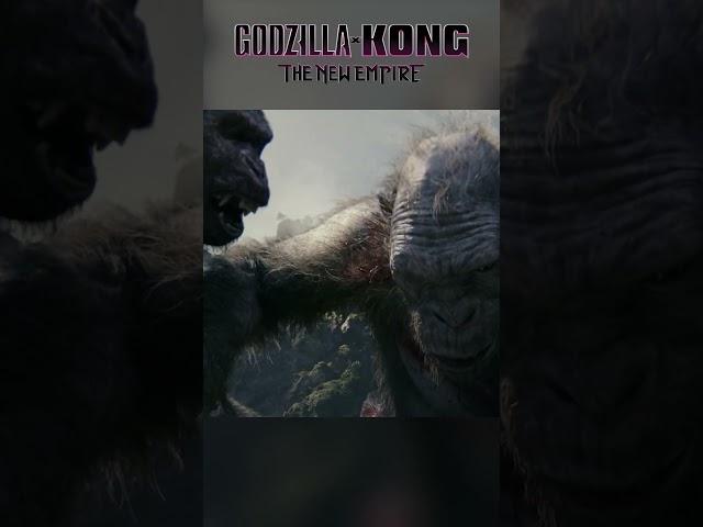 Mini Kong saves King Kong | Godzilla x Kong: The New Empire (2024)