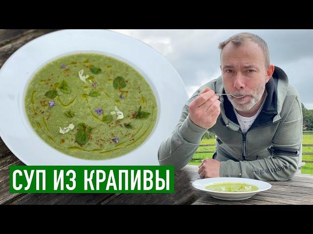 Вкусно, дешево, просто, полезно I Шеф-повар приготовил СУП ИЗ КРАПИВЫ