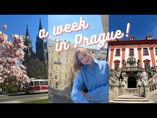 A Week in Prague!