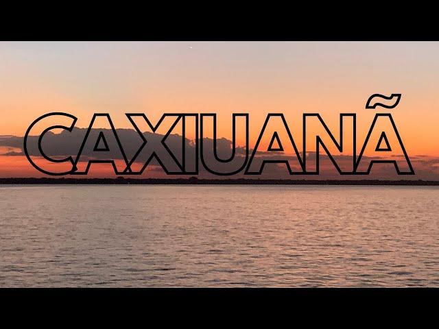 Explorando a Flona de Caxiuanã: A Aventura na Floresta Amazônica