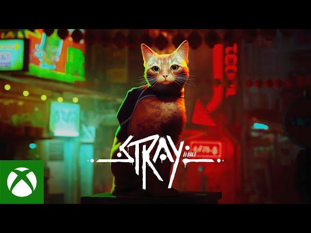 Stray - Coming to Xbox August 10