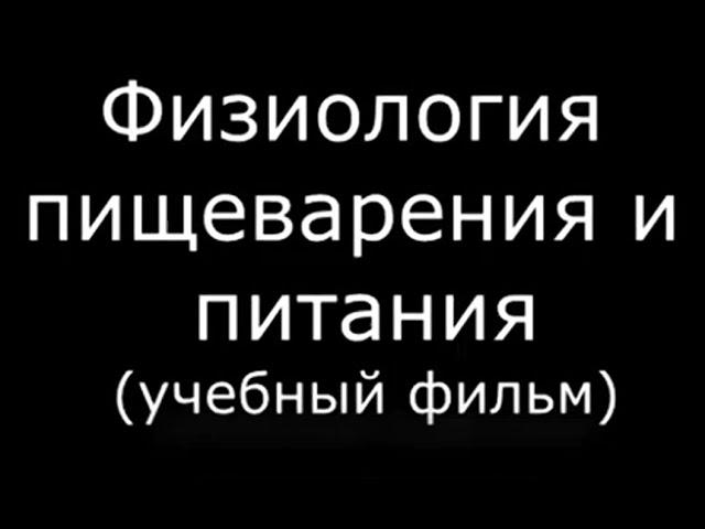 Физиология пищеварения