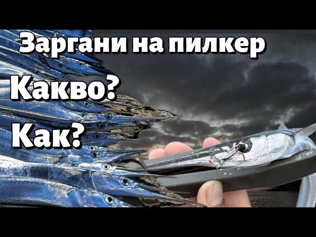 Риболов на ЗАРГАН на ДЖИГ. Какво трябва да знаем?